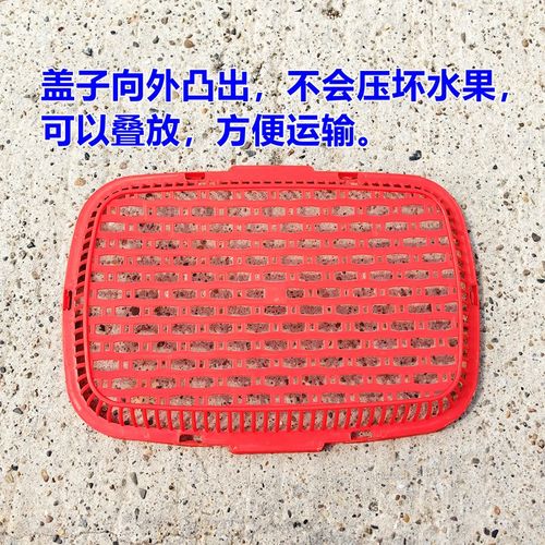 约5斤装水果篮子杨梅篮枇杷篮鸡蛋篮杨梅篮塑料水果篮子胶框带盖