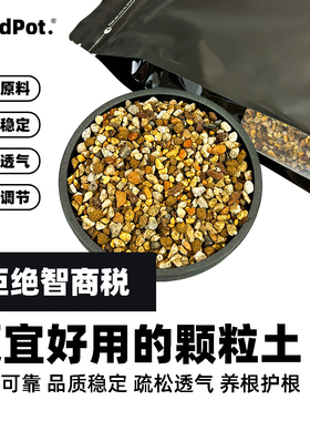 windpot颗粒土块根植物营养土龙舌兰仙人球专用粗细配多肉铺面