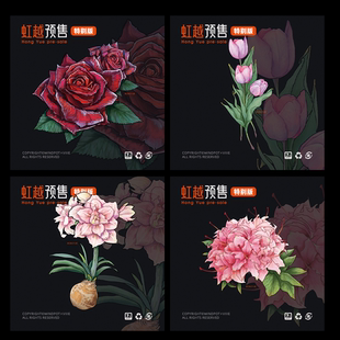 windpot原创植物冰箱贴月季 黑巴克玫瑰朱顶红冰箱贴热植磁贴创意