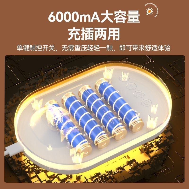 led护眼台灯充电插电两用孩子学习阅读台灯宿舍大学生国标保视力