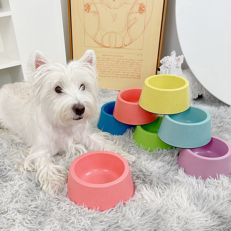 狗碗猫碗食盆狗盆宠物饭碗水碗防打翻防滑小狗饮水狗狗粮盆流浪猫