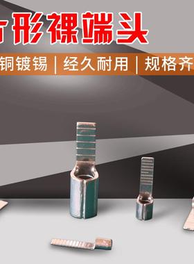 DBN5.5-10片形冷压端子DBN5.5-14冷压接线端头DBN5.5-18接线鼻子