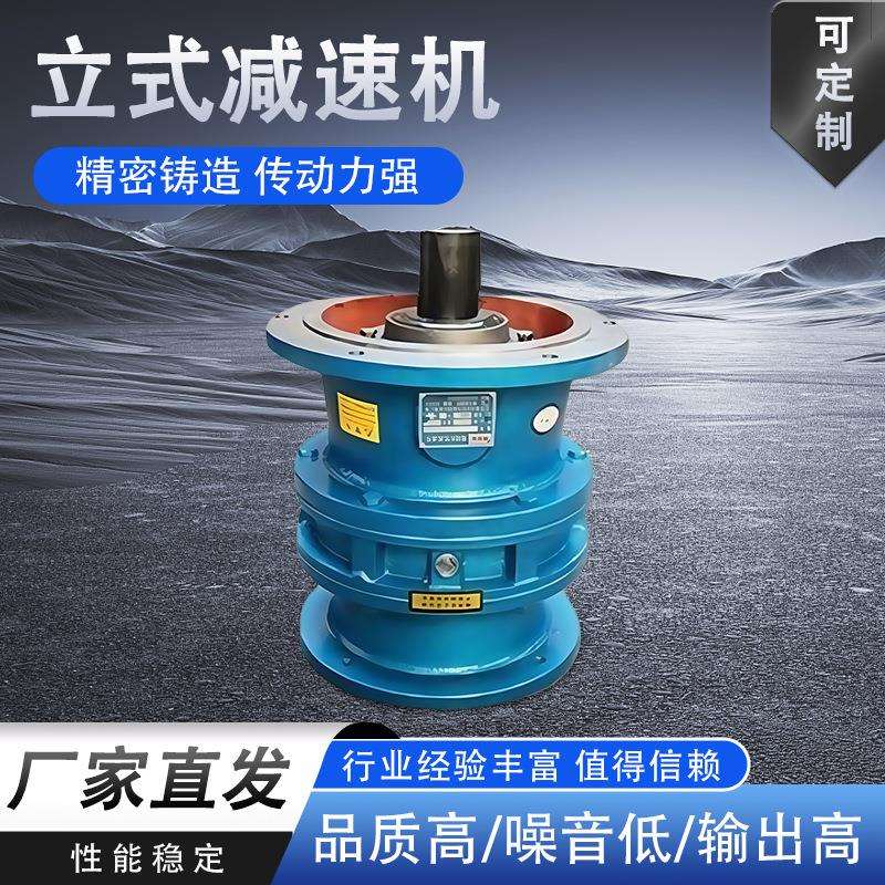 立式摆线针轮减速机配件B/X系列BLD/ XLD 摆线针轮减速器变速机