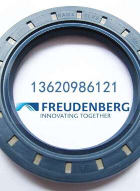 CFW BAU4SLX2 62-120-12/8 德国SIMRIT科德宝进口 骨架油封