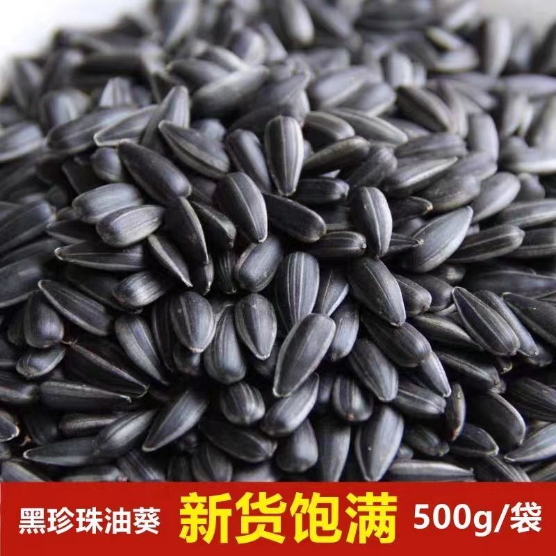 内蒙油葵黑珍珠小瓜子生香年货小油葵花籽炒货熟奶油薄盐原味零食