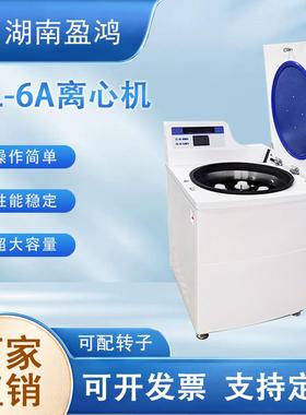 VL-6A立式大容量冷冻/不带冷冻离心机实验室