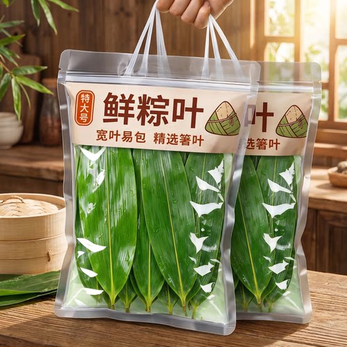 农科院推荐新鲜粽叶粽子叶包粽子专用2026新