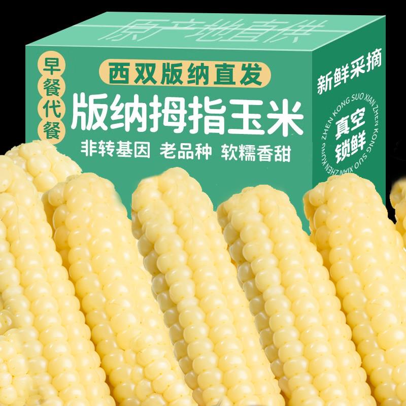 西双版纳香糯拇指小玉米甜白糯玉米云南傣家手指姆玉米宝新鲜真空