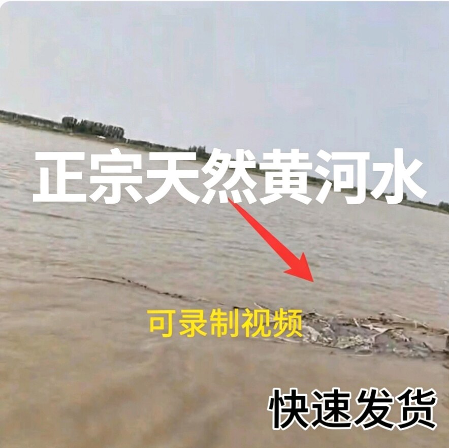 正宗黄河水母亲河水现取天然黄河浑水带泥沙土养殖无污染