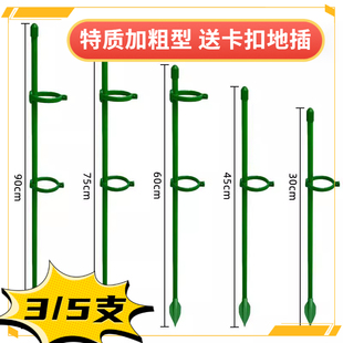 支架支撑杆倒伏蝴蝶兰架子支撑架朱顶月季固定花卉植物绣球园艺