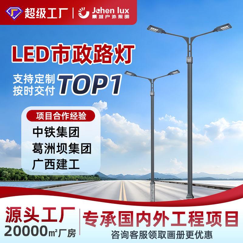厂家供应LED多头市电路灯工程道路照明路灯6米8米12米LED路灯杆