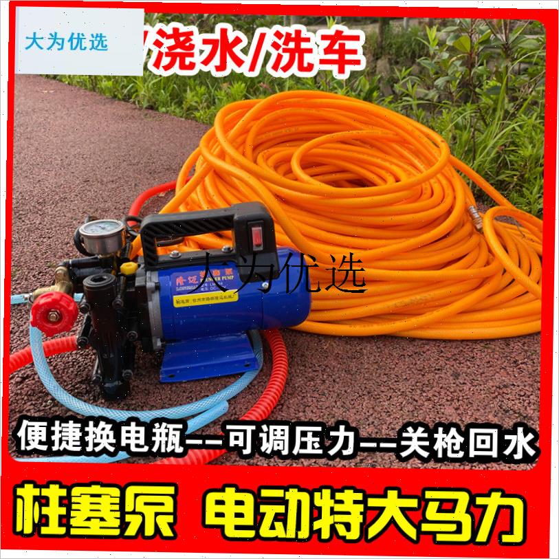 ,式打药机农用电动果树喷雾器12V48V60V220伏高压X双缸柱塞药泵