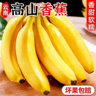正宗云南高山香蕉甜糯香浓青皮香蕉9斤装整箱绿皮甜蕉banana水果