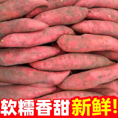 新鲜红薯蜜薯板栗红薯沙地糖心地瓜农家自种番薯现挖黄心香薯山芋