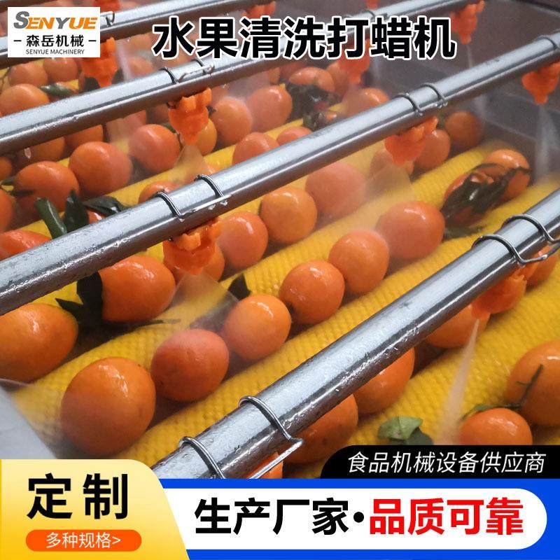 商用果蔬毛刷清洗机西梅毛辊清洗机设备圣女果毛刷清洗风干线,清洗/食品/商业设备,其他食品加工设备,淘宝优惠券,粉丝福利购,淘宝优惠卷