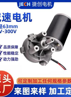 直流减速电机24V80W60R垃圾处理器电机厨房电器粉碎机微型马达