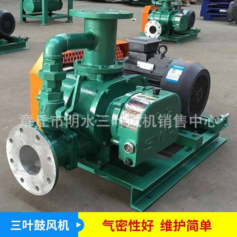 供应SWR-50MT气体增压风机防爆型气体增压泵密封噪音低罗茨增压泵