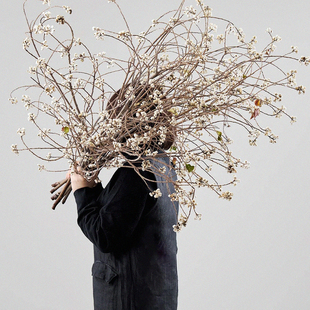 久伴天然乌桕果干花真花长枝客厅桌面装饰摆件侘寂中古高级感轻奢