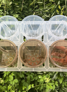 六格托架组合配10cm口径花盆透明色桌面阳台2.5寸杯青山花盆套盆