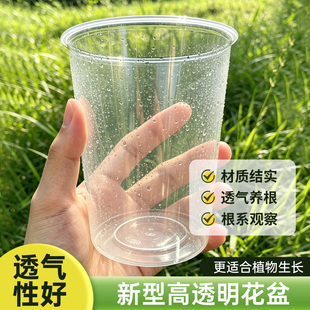 蝴蝶兰专用控根水培套盆热植龟背竹懒人养观根半水培闷养杯花盆