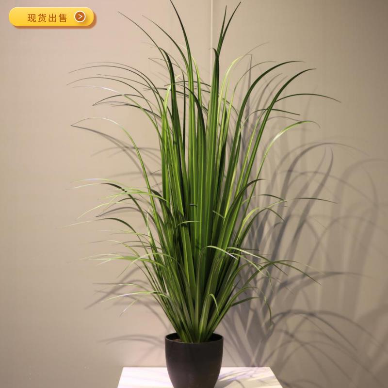 仿真千古木大叶子草简洁大方易打理室内装饰美化盆栽现货出售