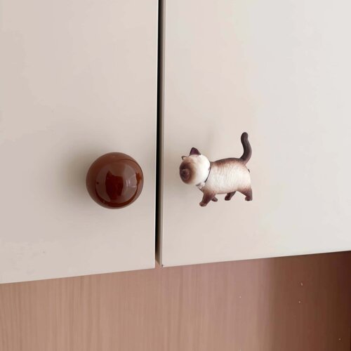 【好可爱的小猫拉手啊！】