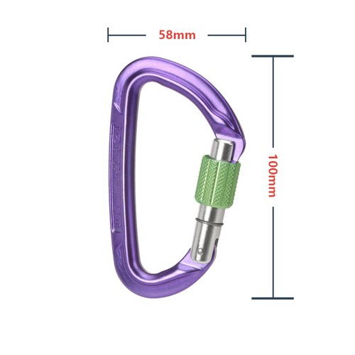 WILDCOUNTRY SESSION SCREW GATE攀岩登山丝扣锁D型锁丝扣主锁