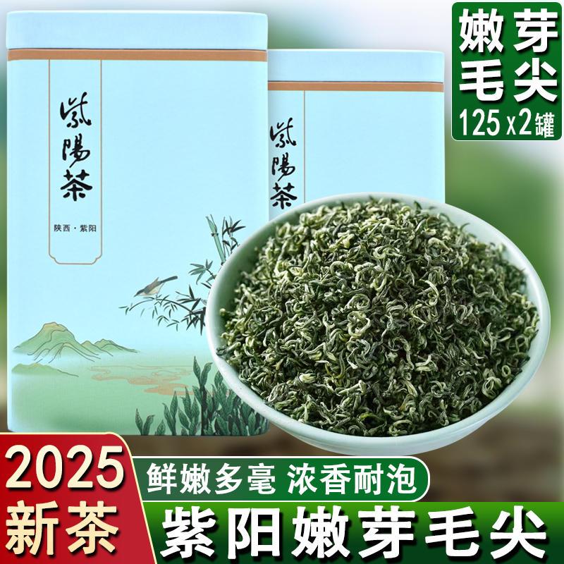 陕青安康茶叶2025新茶紫阳富硒茶毛尖绿茶浓香耐泡散装礼盒装250g