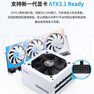 鑫谷GM850W冰山版 机750W主机650W全模组电源550W 白色电脑电源台式