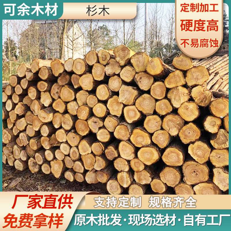 杉木桩原木景观装修木工地河堤用削尖打桩防汛木桩现货直供