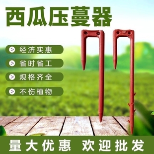 草莓叉子草莓育苗叉西瓜压蔓器压苗器压苗叉固定叉藤种植工具压苗