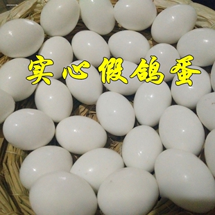 假信鸽蛋鸽子引产蛋鸽子蛋肉鸽注水假蛋信鸽实心塑料假蛋注水假蛋