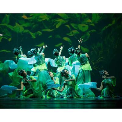 桃李杯水中草扇子学院派舞蹈扇甩扇子长绸真丝扇秧歌扇胶州秧歌扇