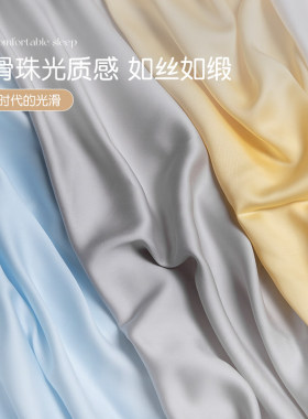 全棉枕套一对装高级感枕头套2025新款纯棉套装48cmx74cm儿童40x60