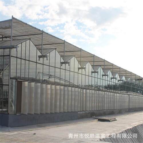 文洛型连栋智能玻璃温室 花卉农业养殖温室大棚工程