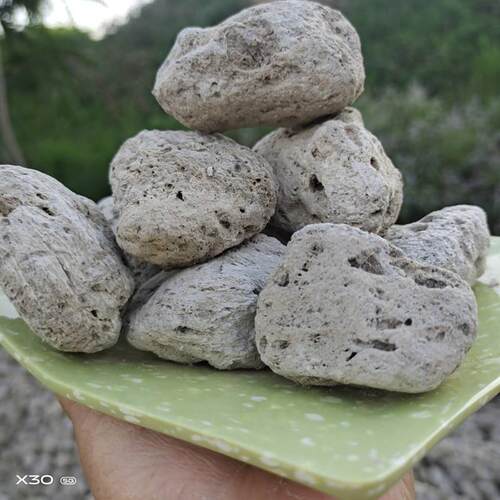 浮石轻石颗粒兰花多肉种植土兰花植料垫底介质园艺用品造景轻石
