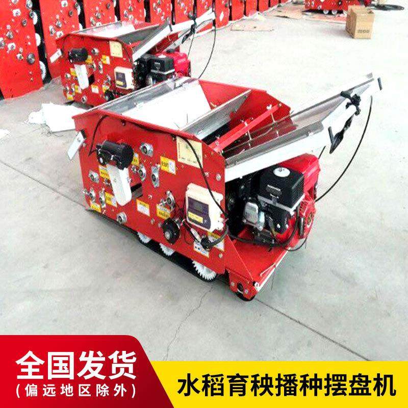 水机DZY稻式育秧摆机流水线自走农用秧苗移栽电动播盘种育秧盘播
