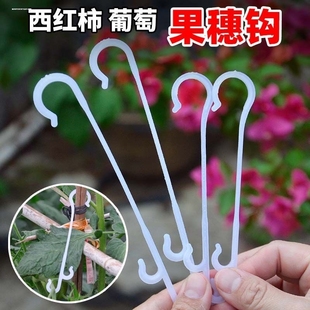 西红柿挂钩葡萄番茄挂钩挂果钩吊钩大棚蔓托穗吊穗钩塑料果穗钩