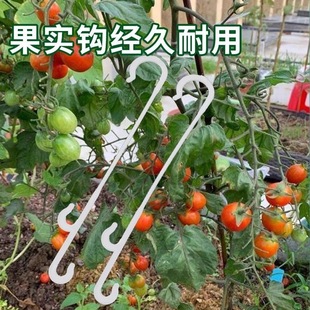 大棚西红柿番茄吊穗挂钩辣椒蓝莓葡萄专用挂钩吊果勾挂勾吊蔓钩子