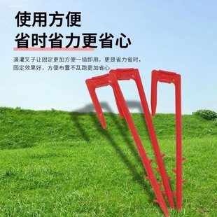 西瓜压蔓器草莓压苗叉育苗叉压苗叉大棚固定器藤蔓生根种植