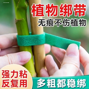 绿植扎带捆绑绿色魔术贴粘扣带不伤植物支撑固定热植绑带植物捆绑