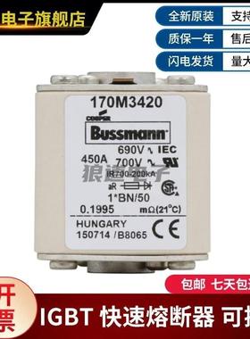 巴斯曼熔断器 型号齐全现货170M3420 170M3421 170M3422 170M3423