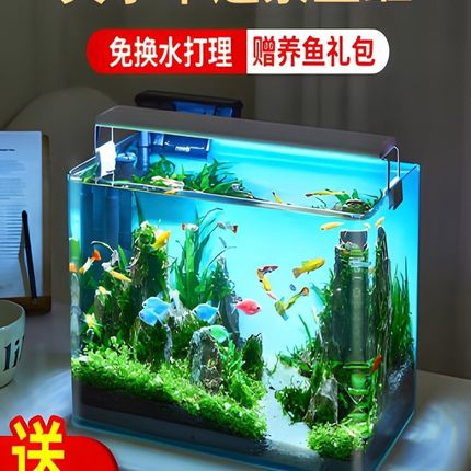 鱼缸客厅2024新款免换水自循环造景热弯玻璃缸小型桌面生态迷你