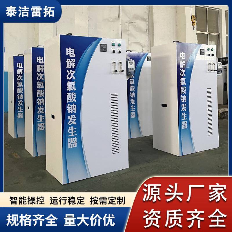 100g次氯酸钠发生器自来水厂饮用水过滤设备电解次氯酸钠发生器