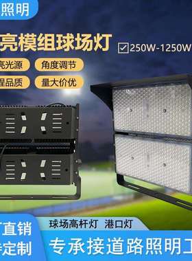 户外高杆灯球场灯500W隧道灯led大功率1000W模组投光灯厂家