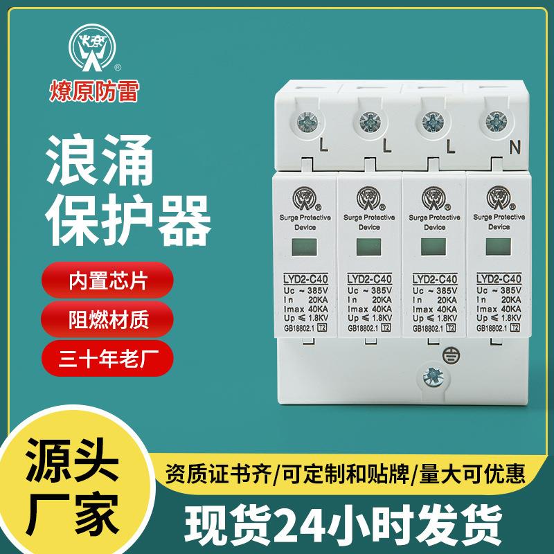 40kA电源浪涌防雷保护器 家用避雷开关 LYD2-C40电涌保护器4P