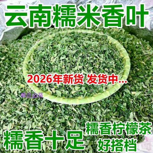糯米香叶2026新货叶子