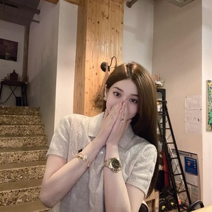 T恤上衣老钱风简 朝子家 刺绣f麻花翻领针织衫 女气质毛衣春季 短袖
