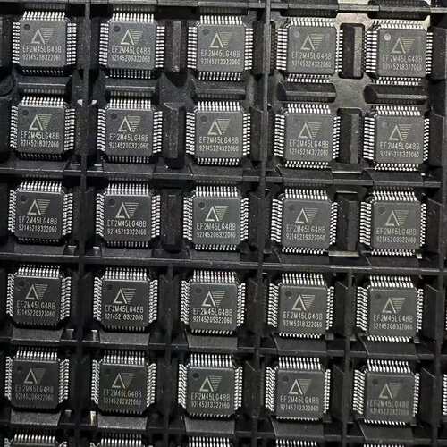 {议价}原厂原装EF2M45LG48B EF1L650LG100芯片{议价}