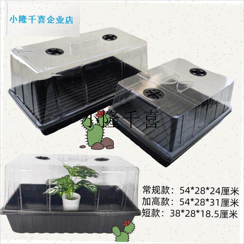 加高育苗盒c三件套扦插出芽带盖子多肉闷养保温播种盘保湿育苗盘l